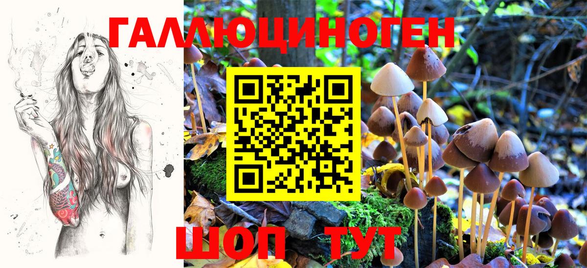 Псилоцибиновые грибы ЛСД Богданович