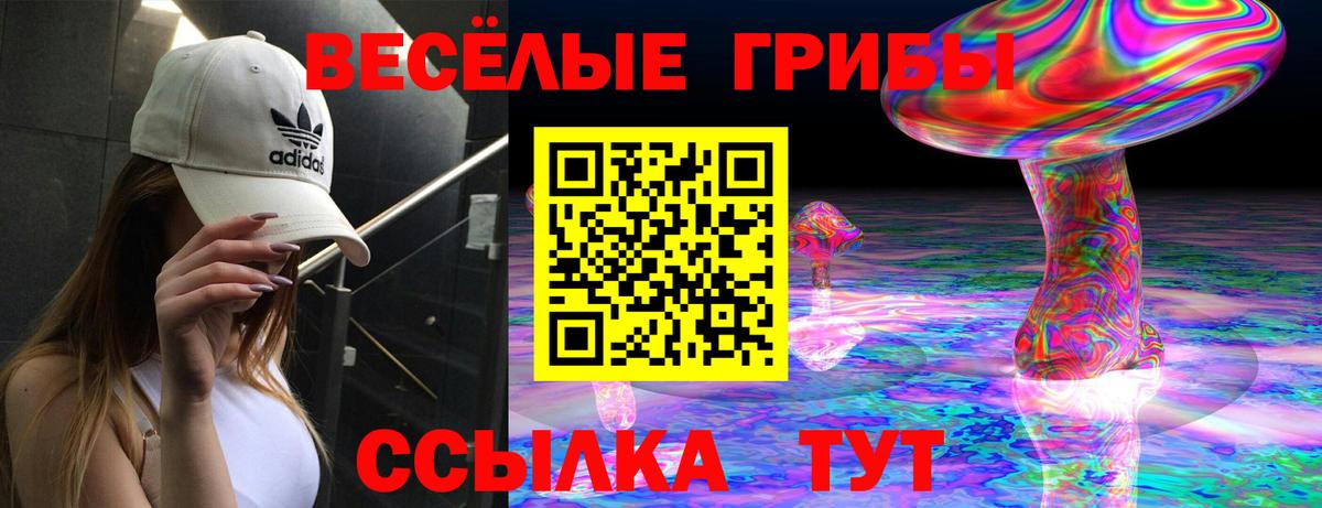 Богданович  купить наркотики цена  Вход с VPN  Псилоцибиновые грибы GOLDEN TEACHER  Галлюциногенные грибы мицелий 